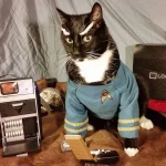 gatos-cosplay-1