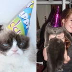 aniversario-de-animais-16