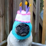 aniversario-de-animais-4