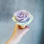 sorvete-de-flores (11)