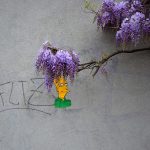 arte-de-rua-com-natureza (17)