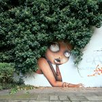 arte-de-rua-com-natureza (25)