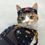 armadur-samurai-caes-gatos (5)