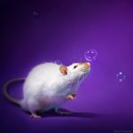 ratos-fofos (8)